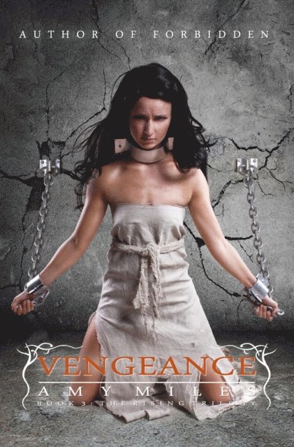 Amy Miles - Vengeance, book III of the Rising Trilogy, E-bok