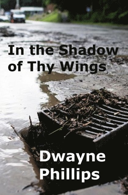 Dwayne Phillips - In the Shadow of Thy Wings, E-bok