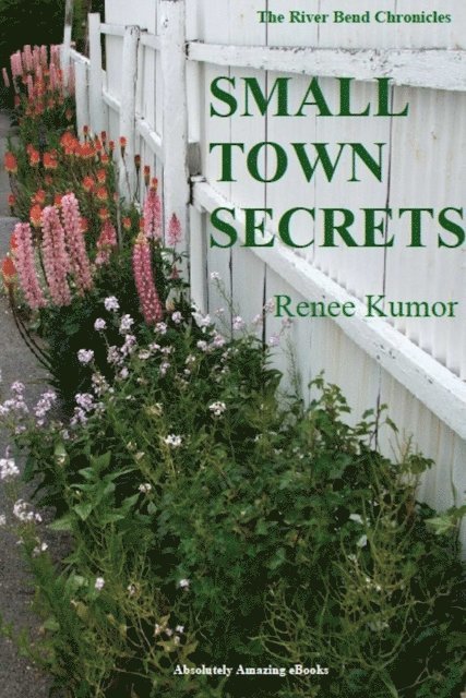 Renee Kumor - Small Town Secrets, E-bok