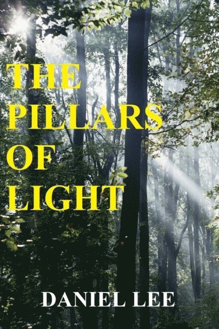 Daniel Lee - Pillars of Light, E-bok