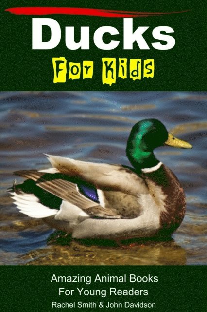John Davidson, Rachel Smith - Ducks For Kids - Amazing Animal Books For Young Readers, E-bok