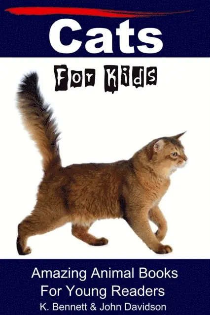 John Davidson, K. Bennett - Cats For Kids Amazing Animal Books For Young Readers, E-bok. Tillgänglighet: Lägg i varukorg