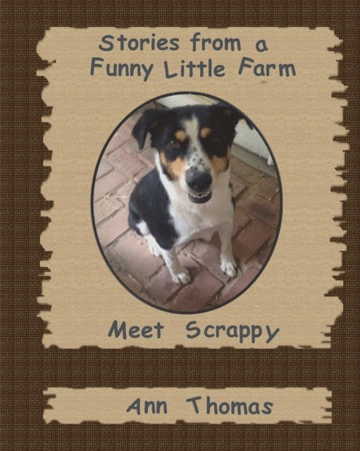 Ann Thomas - Stories from a Funny Little Farm: Meet Scrappy, E-bok