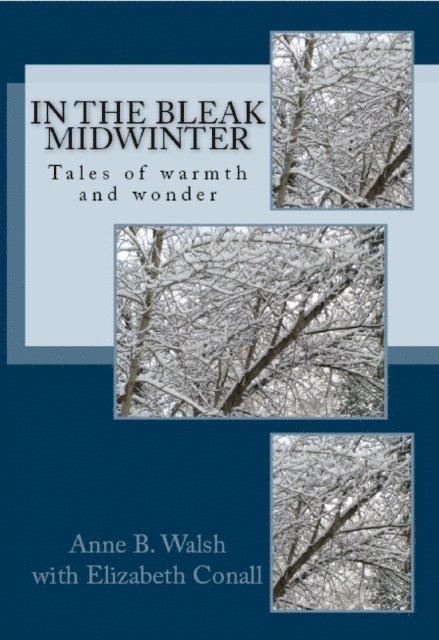 Anne B. Walsh - In the Bleak Midwinter, E-bok. Tillgänglighet: Lägg i varukorg