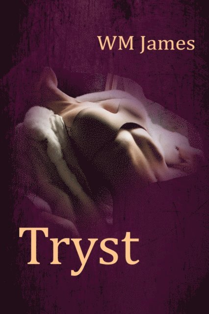 W M James - Tryst, E-bok