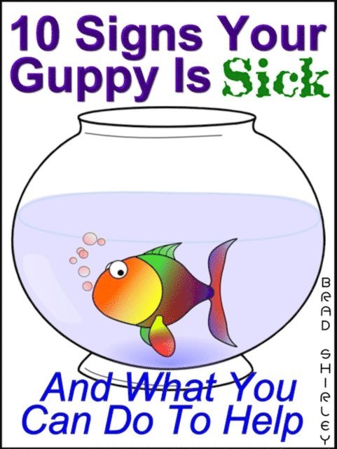 Brad Shirley - 10 Signs Your Guppy Is Sick (And What You Can Do To Help), E-bok. Tillgänglighet: Lägg i varukorg