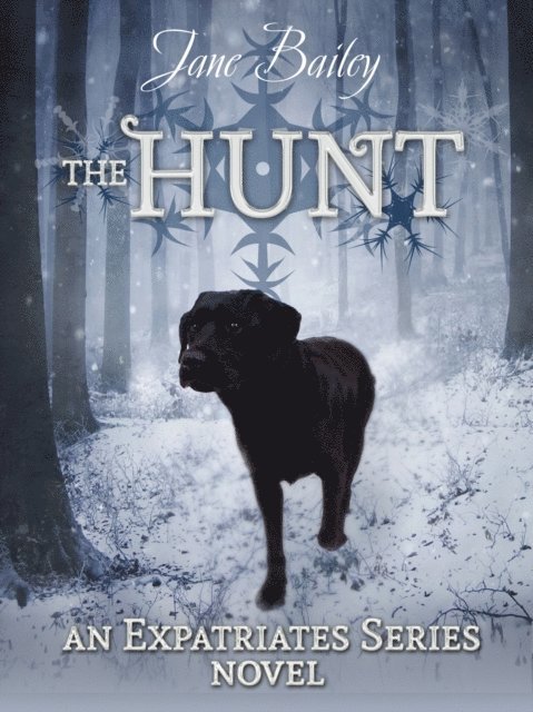 Jane Bailey - Hunt, E-bok