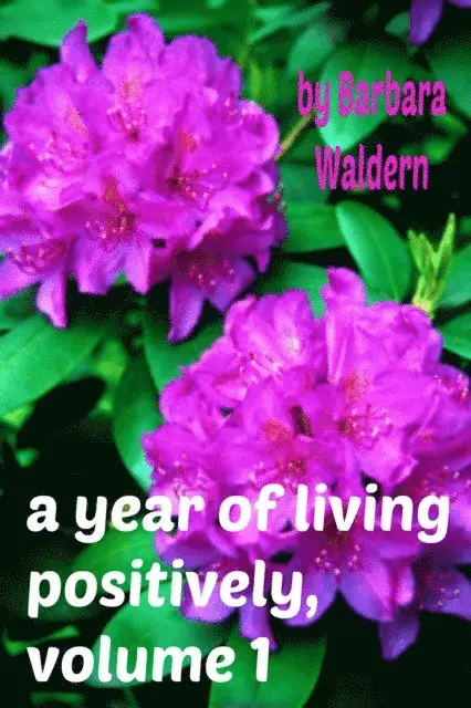 Year of Living Positively, Volume 1
