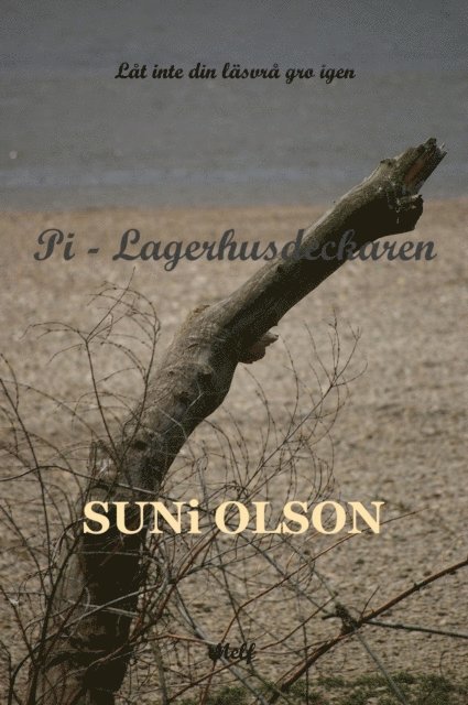 Suni Olson - Pi - Lagerhusdeckaren, E-bok