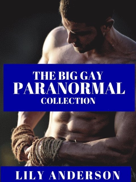 Lily Anderson - Big Gay Paranormal Collection, E-bok. Tillgänglighet: Lägg i varukorg