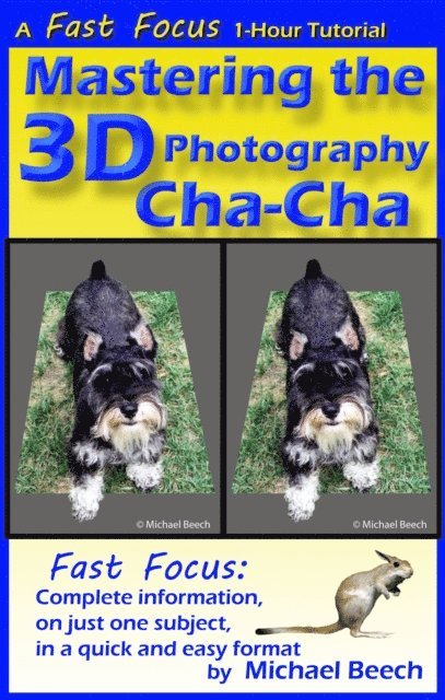 Michael Beech - Mastering the 3D Photography Cha-Cha, E-bok. Tillgänglighet: Lägg i varukorg