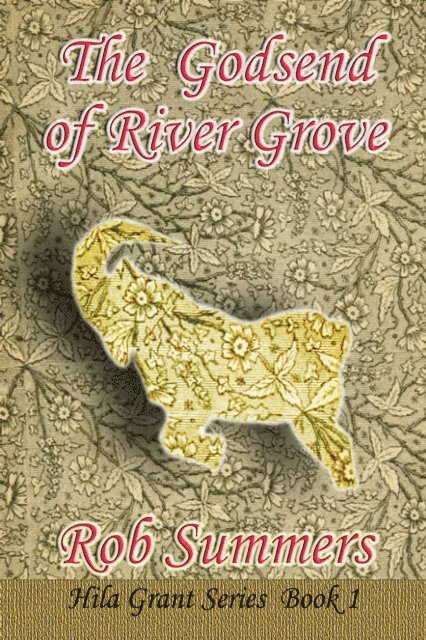 Rob Summers - Godsend of River Grove, E-bok