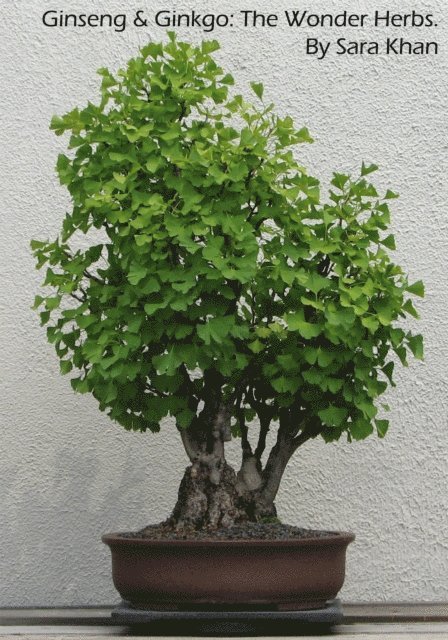 Sara Khan - Ginseng & Ginkgo: The Wonder Herbs., E-bok