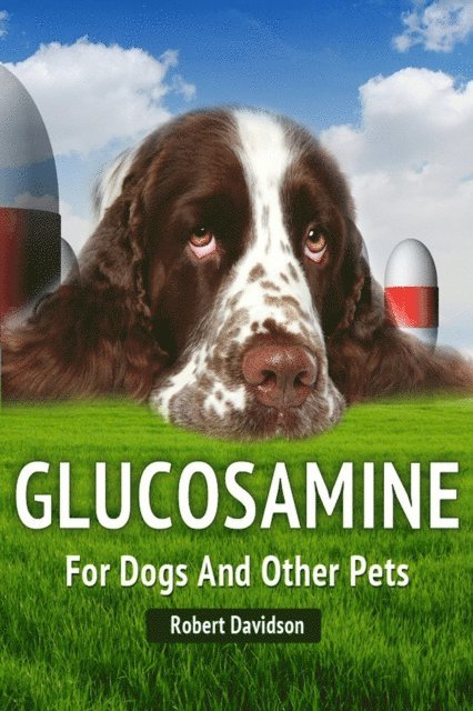 Robert Davidson - Glucosamine For Dogs And Other Pets, E-bok