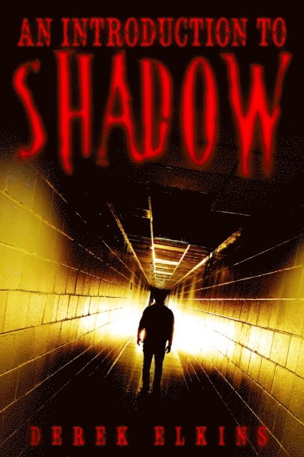 Derek Elkins - Introduction to Shadow, E-bok
