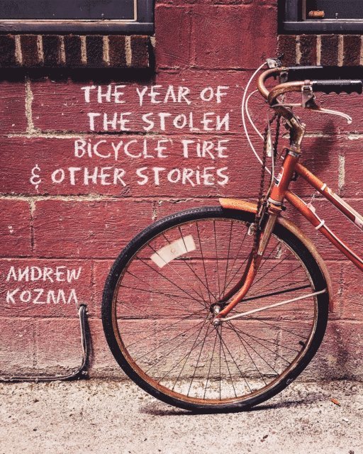 Andrew Kozma - Year of the Stolen Bicycle Tire and Other Stories, E-bok
