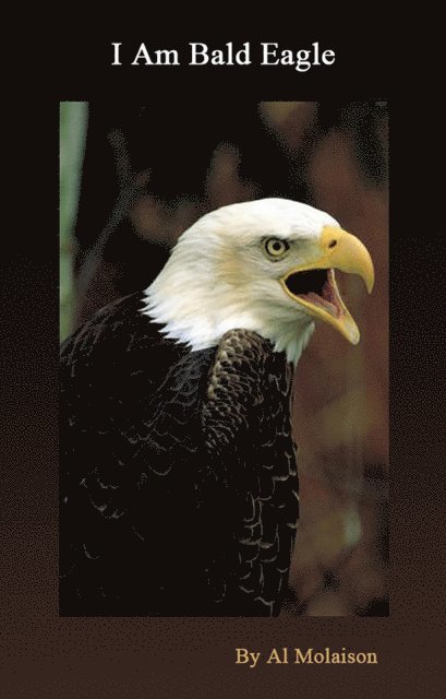 I Am Bald Eagle