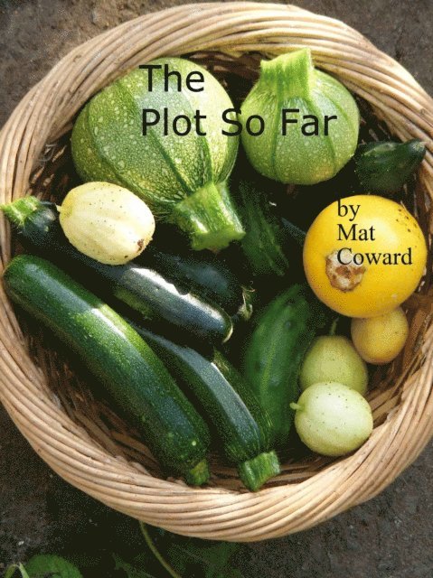 Plot So Far