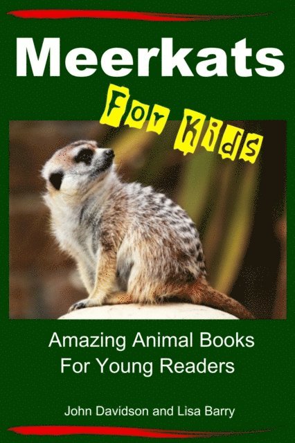 Lisa Barry, John Davidson - Meerkats For Kids - Amazing Animal Books for Young Readers, E-bok