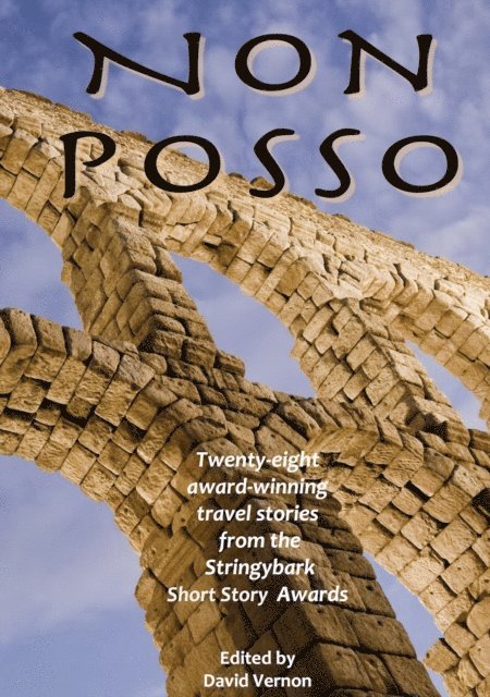 David Vernon - Non Posso, E-bok