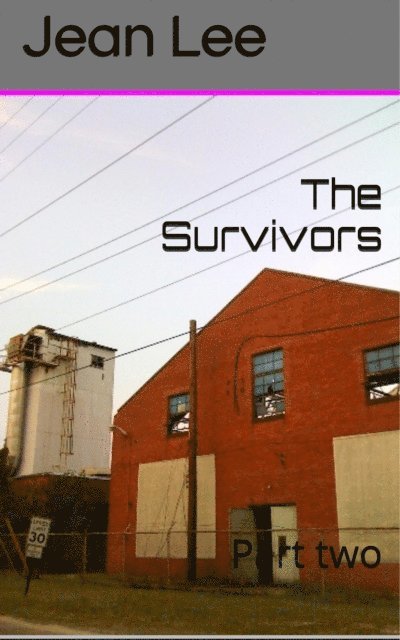 Jean Lee - Survivors Part Two The Anomaly Series, E-bok