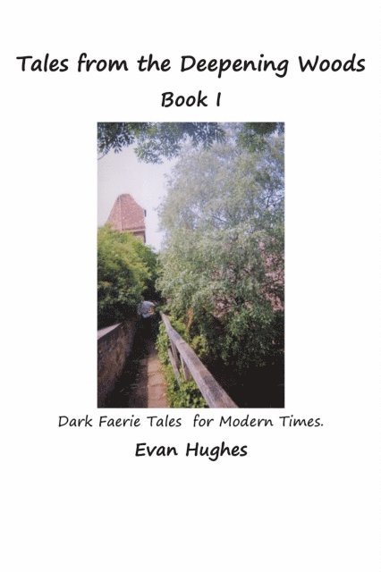 Evan Hughes - Tales from the Deepening Woods: Book I, E-bok