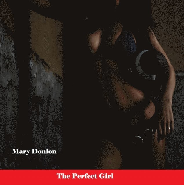 Mary Donlon - Perfect Girl, E-bok