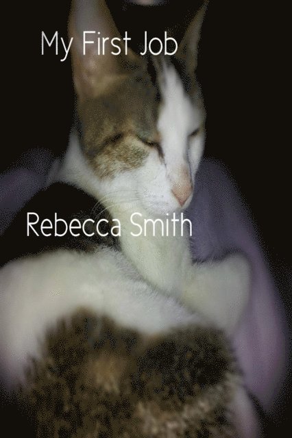 Rebecca Smith - My First Job, E-bok