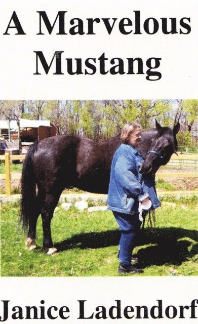 Janice Ladendorf - Marvelous Mustang: Tales from the Life of a Spanish Horse, E-bok. Tillgänglighet: Lägg i varukorg