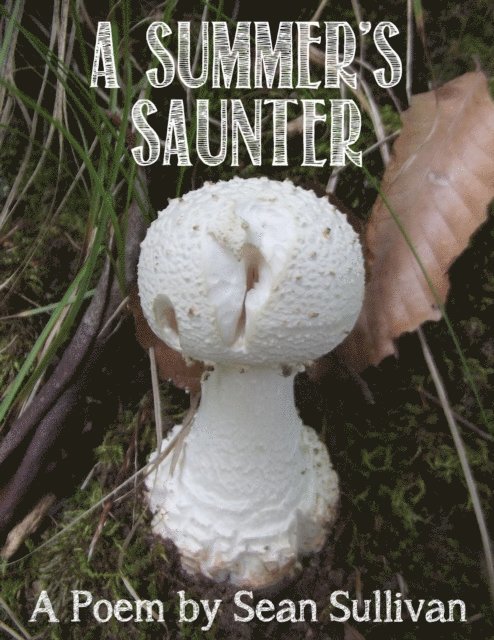 Sean Sullivan - Summer's Saunter, E-bok