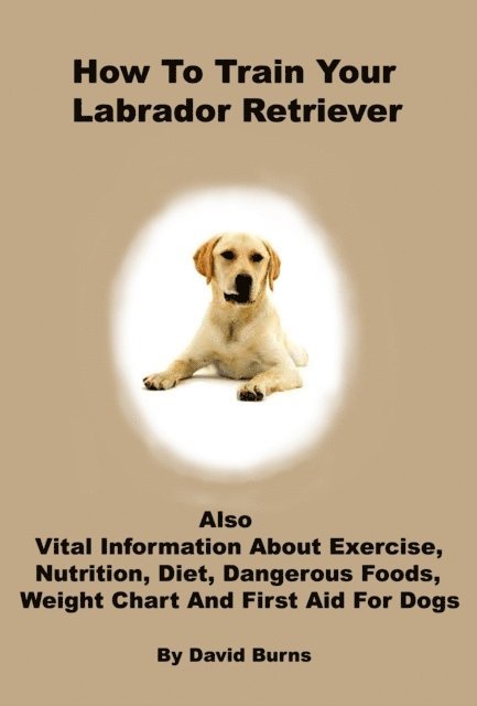 David Burns - How To Train Your Labrador Retriever, E-bok