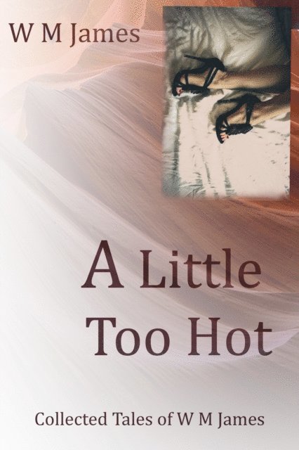 W M James - Little Too Hot: Collected Tales of W M James, E-bok