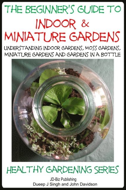 Beginner's Guide to Indoor and Miniature Gardens