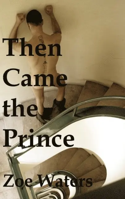 Zoe Waters - Then Came the Prince, E-bok. Tillgänglighet: Lägg i varukorg