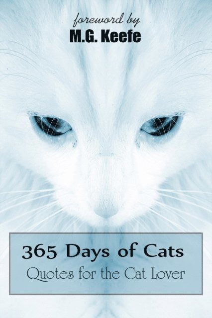 365 Days of Cats