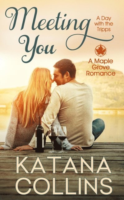 Katana Collins - Meeting You, E-bok
