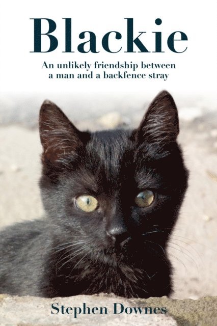Stephen Downes - Blackie: an Inspirational Love Story about a Writer and his Battle to Save his Pet Cat, E-bok