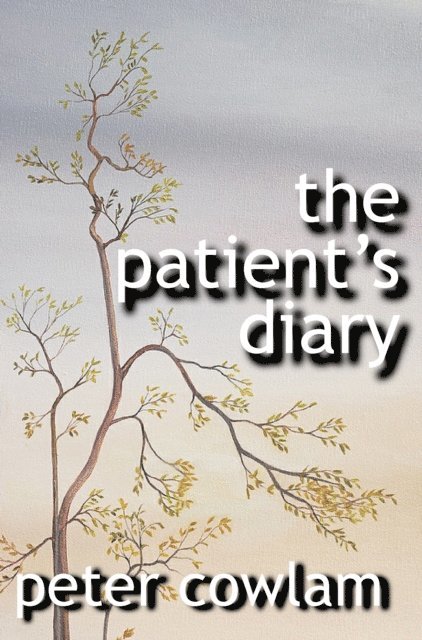 Peter Cowlam - Patient's Diary, E-bok