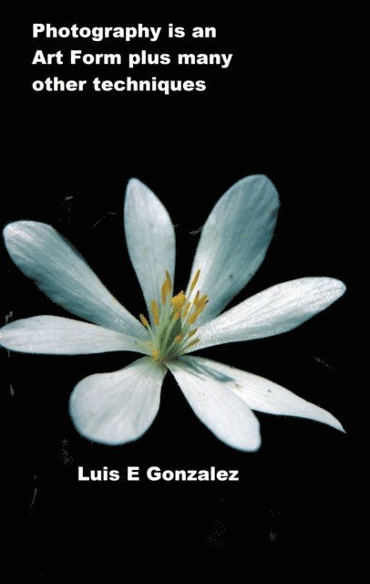 Luis Gonzalez - Photography is An Art Form, E-bok