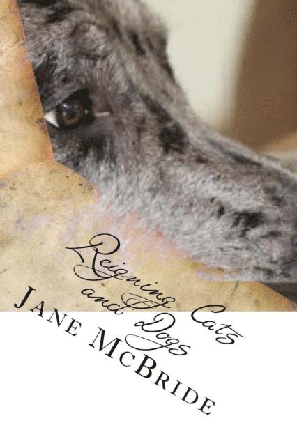 Jane McBride - Reigning Cats and Dogs, E-bok