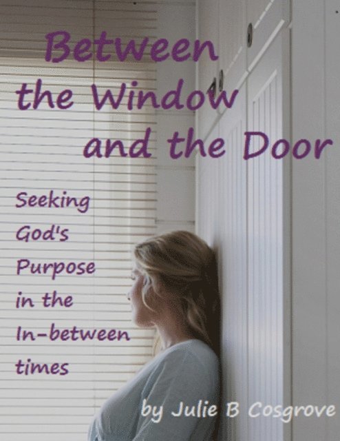 Julie B Cosgrove - Between the Window and the Door, E-bok