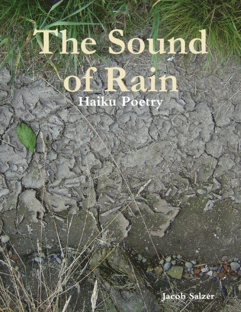 Jacob Salzer - Sound of Rain, E-bok