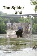Spider and the Fly