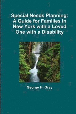 George Gray - Special Needs Planning: A Guide for Families in New York with a Loved One with a Disability, Häftad. Tillgänglighet: Lägg i varukorg