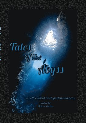 Melissa Davilio - Tales of the Abyss, Häftad. Tillgänglighet: Lägg i varukorg