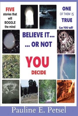 Pauline E Petsel - Believe It Or Not-- YOU Decide!, Häftad