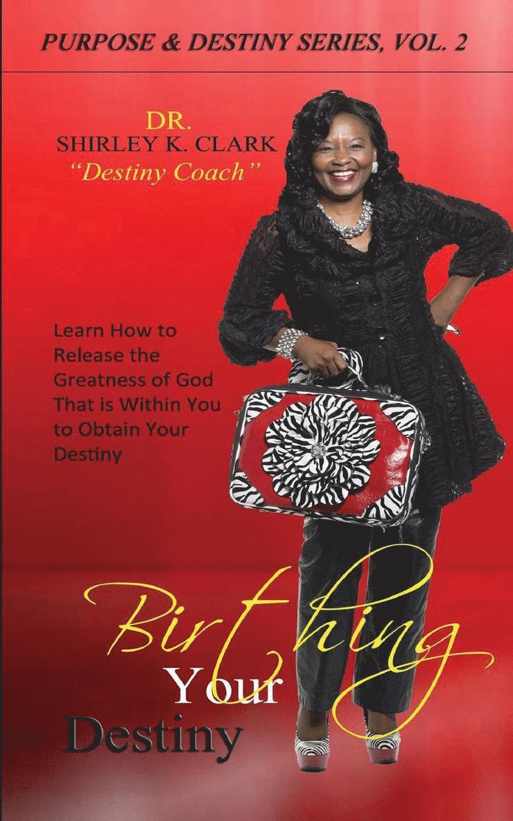 Dr Shirley K Clark - Birthing Your Destiny, Häftad