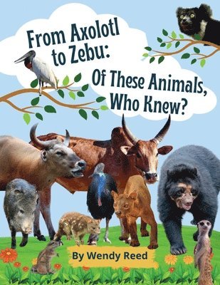 Wendy Reed - From Axolotl to Zebu, Häftad