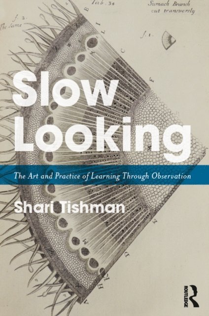 Shari Tishman - Slow Looking, E-bok