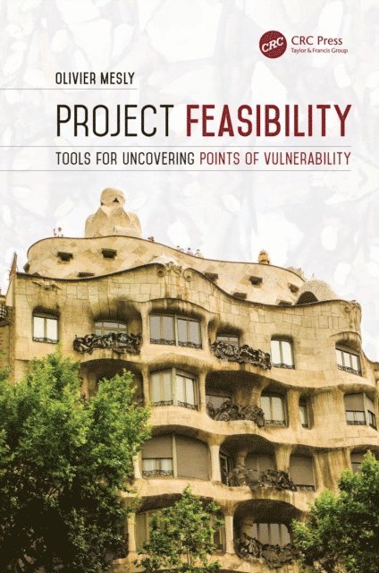 Olivier Mesly - Project Feasibility, E-bok